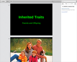 Investigating Inherited Traits and Learned Behavior: Inherited Traits (presentation)