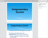 Integumentary System Presentation