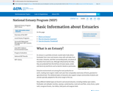 Basic Information About Estuaries