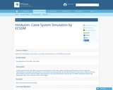 Hinduism - Caste System Simulation by ECSDM