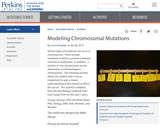 Modeling Chromosomal Mutations