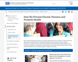 The Four Domains of Chronic Disease Prevention
