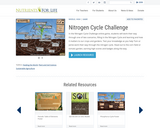 The Nitrogen Cycle Game
