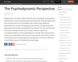 The Pyschodynamic Perspective
