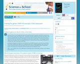 Fishing For Genes: DNA Microarrays in the Classroom