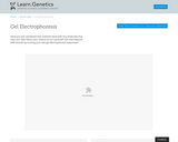 Gel Electrophoresis Virtual Lab
