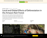 Local and Global Effects of Deforestation in the Amazon Rain Forest