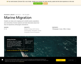 Marine Migration