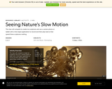 Seeing Nature's Slow Motion