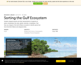 Sorting the Gulf Ecosystem