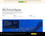 Why Animals Migrate