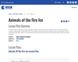 Animals of the Fire Ice