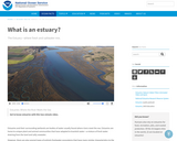 What is an estuary?