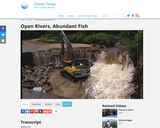 Open Rivers, Abundant Fish