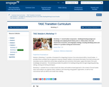 Tasc Transition Curriculum Project: Module 4, Workshop 11