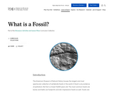 What Is a Fossil?