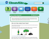 Climate Kids: What Is the Big Deal With Carbon?