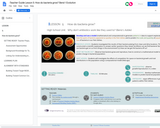 Unit 1, Lesson 5: How do bacteria grow?