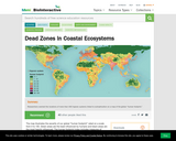 Dead Zones in Coastal Ecosystems