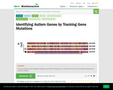 Identifying Autism Genes by Tracking Gene Mutations