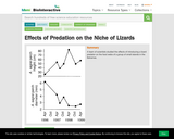 Effects of Predation on the Niche of Lizards