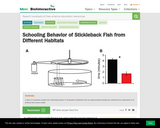 Schooling Behavior of Stickleback Fish from Different Habitats