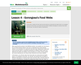 Lesson 4 - Gorongosa's Food Webs