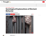 Sociological Explanations of Deviant Behavior