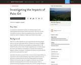 Investigating the Impacts of Palm Oil