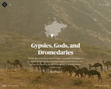 Gypsies, Gods, and Dromedaries