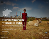 Migrant Sugarcane Workers of India