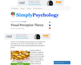 Visual Perception Theory