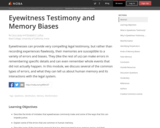 Eyewitness Testimony and Memory Biases