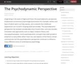 The Psychodynamic Perspective