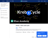 Biology: Krebs / Citric Acid Cycle
