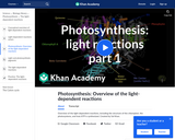 Biology: Photosynthesis: Light Reactions 1