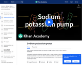 Biology: Sodium Potassium Pump