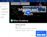 Biology: Myosin and Actin