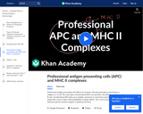 Biology: Professional Antigen Presenting Cells (APC) and MHC II Complexes