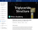 Molecular structure of triglycerides (fats)