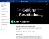 Cellular respiration introduction