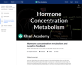 Hormone concentration metabolism and negative feedback