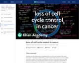 Loss of cell cycle control in cancer