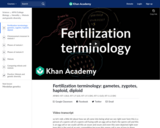 Fertilization terminology: gametes, zygotes, haploid, diploid
