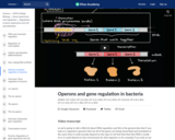 Operons and gene regulation in bacteria