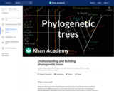 Understanding and building phylogenetic trees