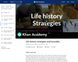 Life history strategies and fecundity