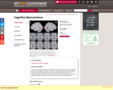 Cognitive Neuroscience, Spring 2006