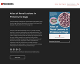 Atlas of Renal Lesions in Proteinuric Dogs