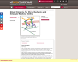 Global Enterprise for Micro-Mechanics and Molecular Medicine (GEM4), Summer 2006